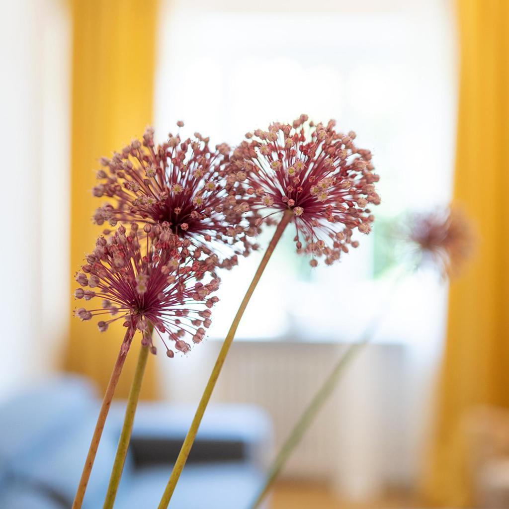 Apartmán La Casa Di Livia Řím Exteriér fotografie